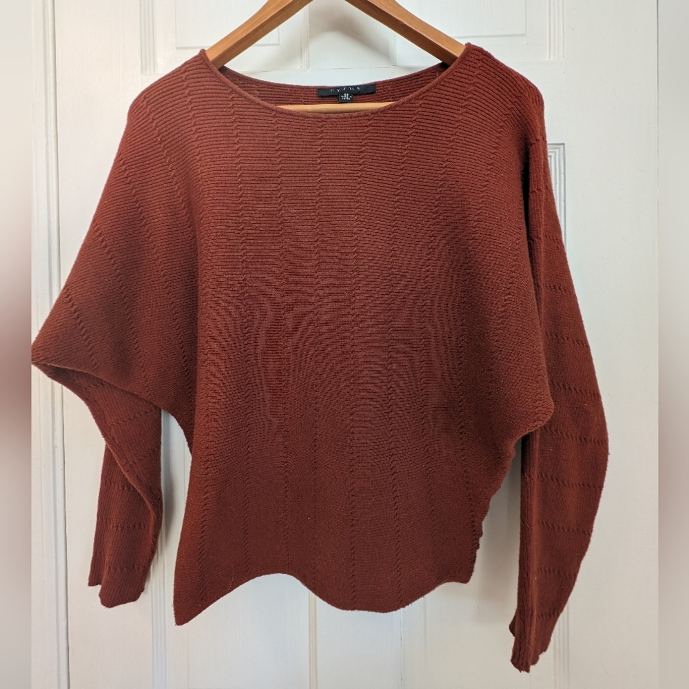 Burnt Orange Sweater